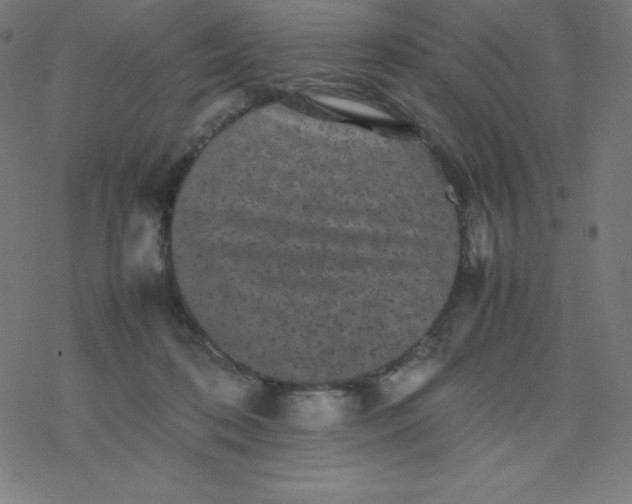 X0000077380316200611031943