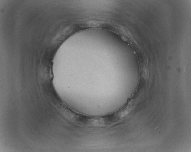 X0000077380317200611031943