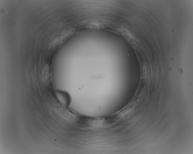 X0000077380318200611031943