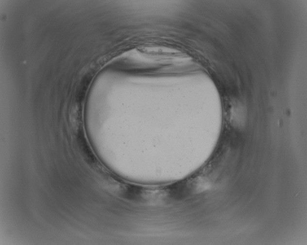 X0000077380319200611031943