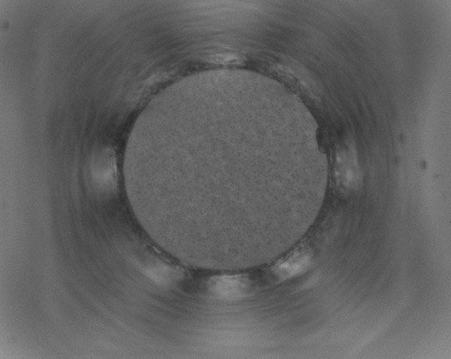 X0000077380320200611031943