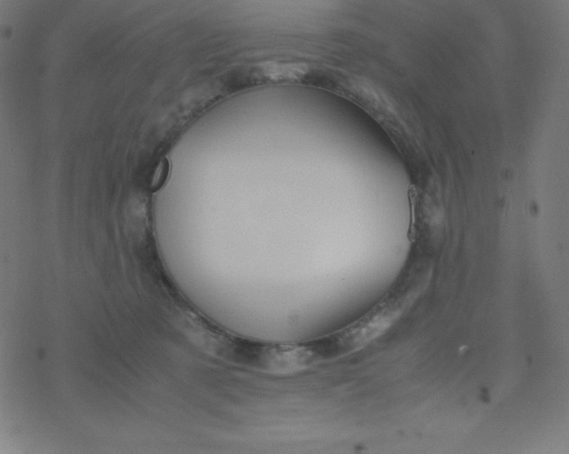 X0000077380321200611031943