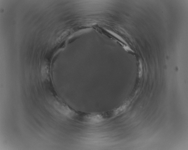 X0000077380322200611031943