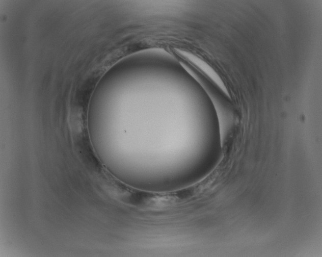 X0000077380323200611031943