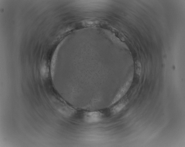 X0000077380324200611031943