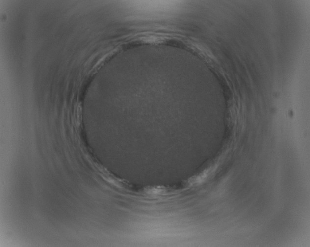 X0000077380325200611031943