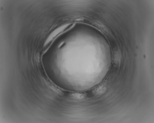 X0000077380326200611031943