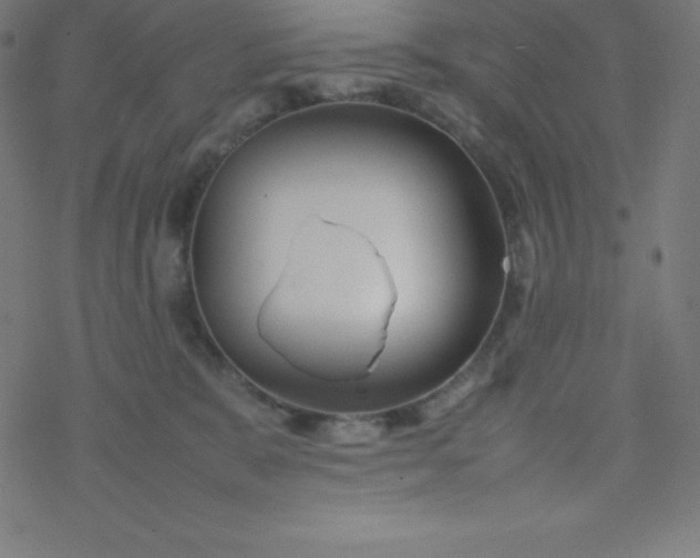 X0000077380327200611031943