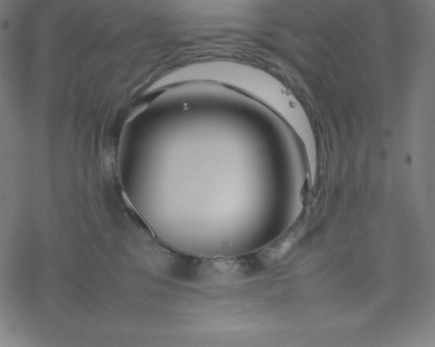 X0000077380329200611031943