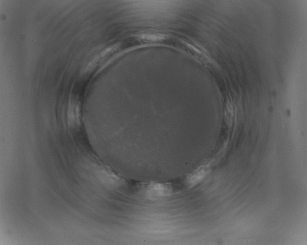 X0000077380330200611031943