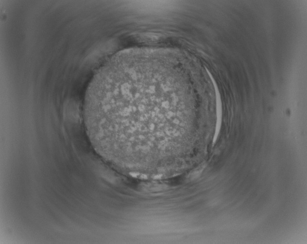 X0000077380331200611031943