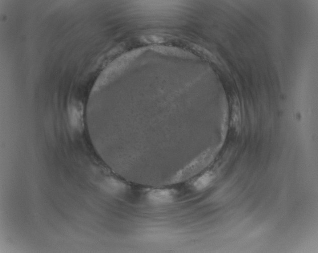 X0000077380332200611031943