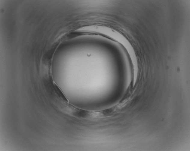 X0000077380333200611031943