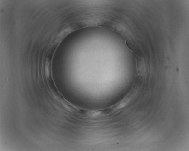 X0000077380334200611031942