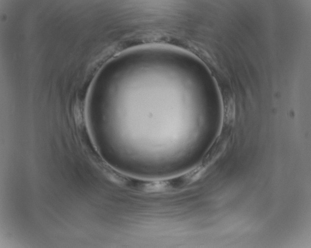 X0000077380335200611031942