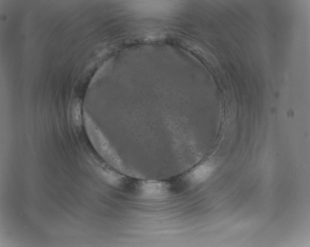 X0000077380336200611031942