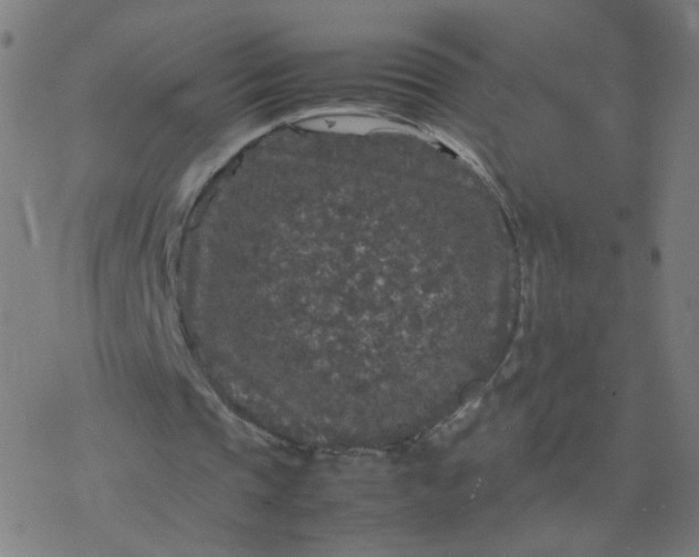 X0000077380337200611031942