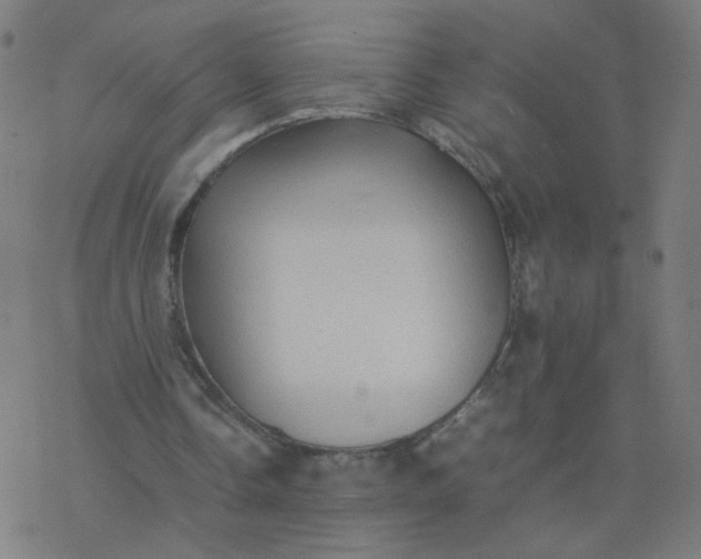 X0000077380338200611031942