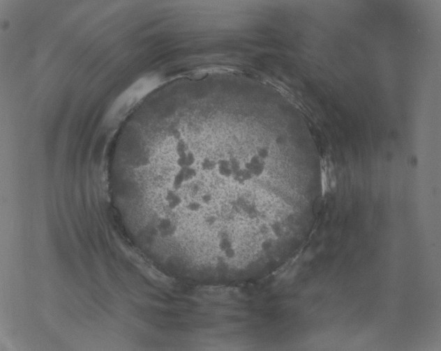 X0000077380339200611031942