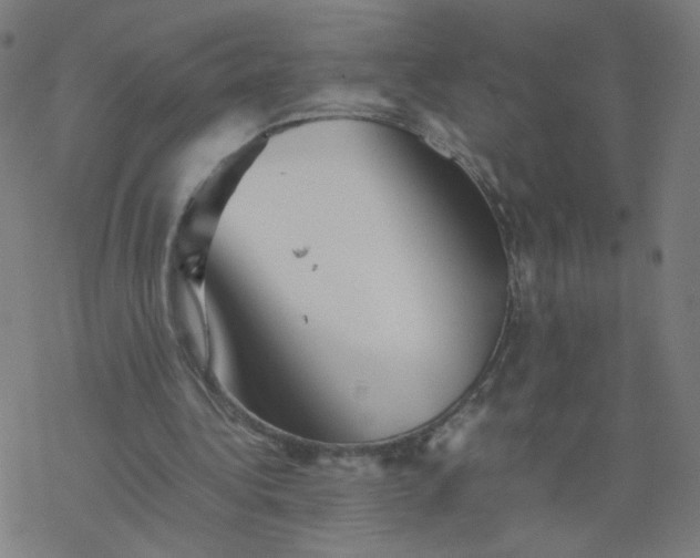 X0000077380340200611031942