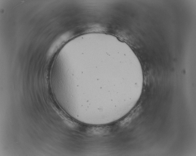 X0000077380341200611031942