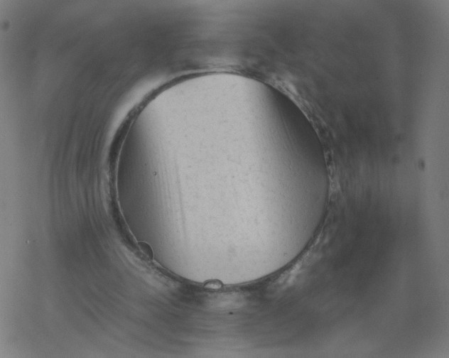 X0000077380342200611031942