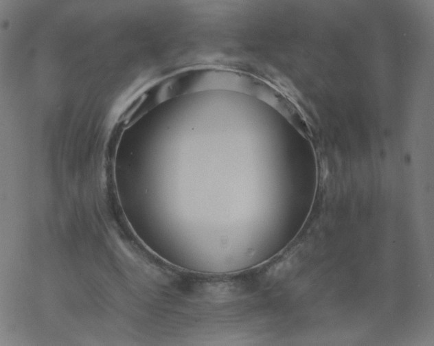 X0000077380344200611031942