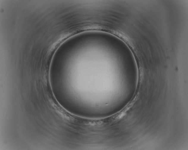 X0000077380345200611031942