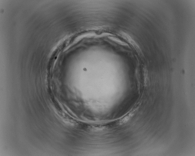 X0000077380346200611031942