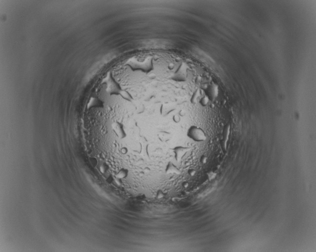 X0000077380347200611031942