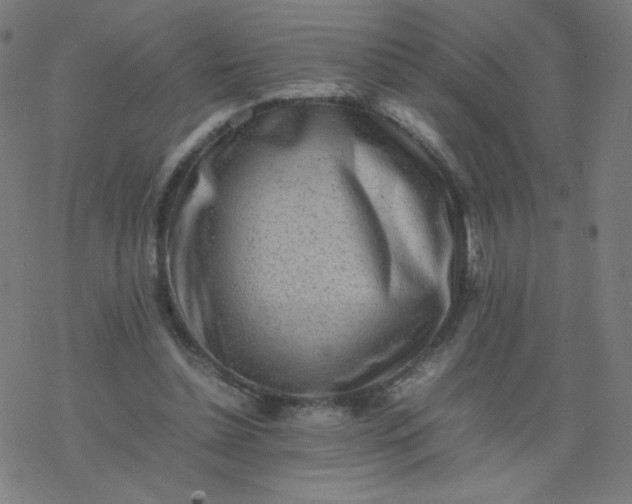 X0000077380348200611031942