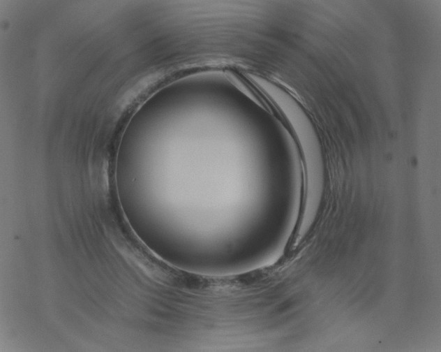 X0000077380350200611031942