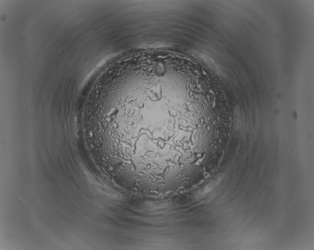 X0000077380351200611031942