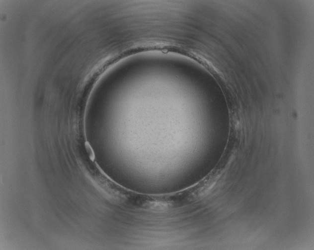 X0000077380352200611031942