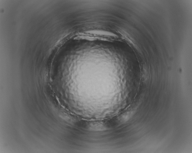 X0000077380355200611031942