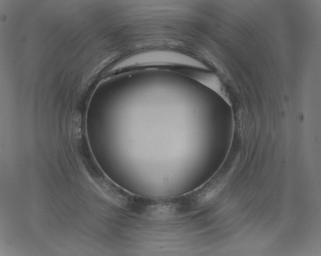 X0000077380356200611031942