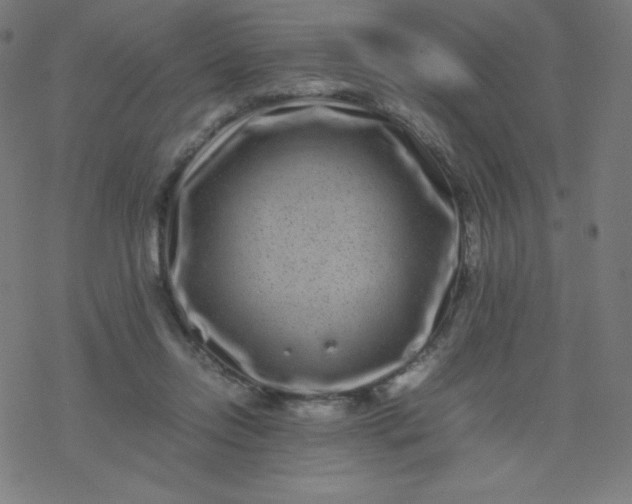 X0000077380358200611031942