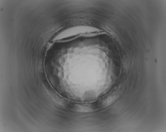 X0000077380359200611031942