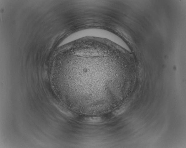 X0000077380361200611031942