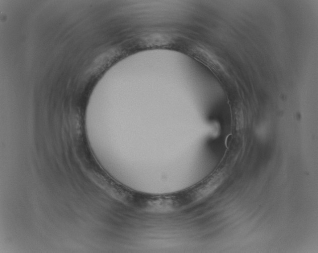 X0000077380362200611031942