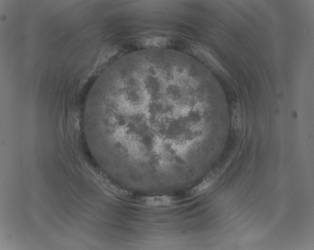 X0000077380363200611031942