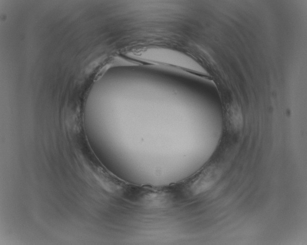 X0000077380364200611031942