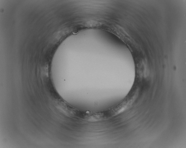 X0000077380368200611031942