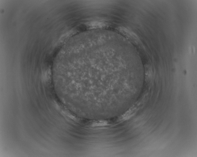 X0000077380369200611031942