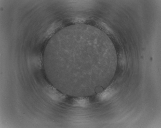 X0000077380370200611031942