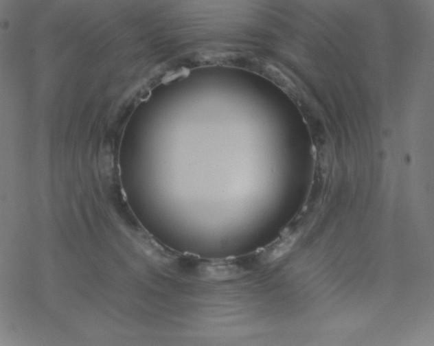 X0000077380372200611031942