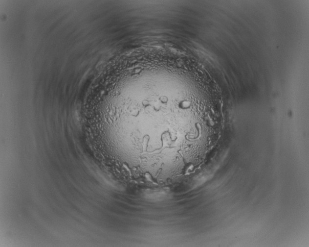 X0000077380373200611031942