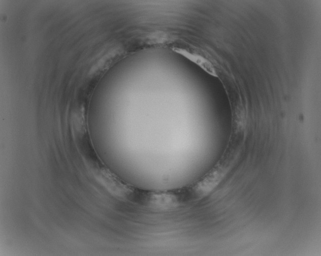 X0000077380376200611031942