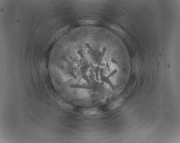 X0000077380377200611031942