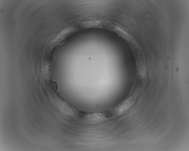 X0000077380378200611031942